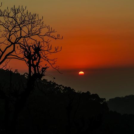 Stayvista At Sunset Springs With Pool & Views Nainital Exteriör bild